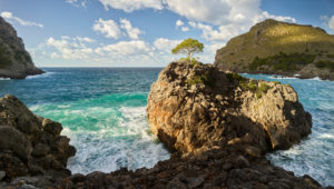 Küste bei Sa Calobra, Tramuntana, Mallorca, Balearen, Spanien Küste bei Sa Calobra, Tramuntana, Mallorca, Balearen, Spanien